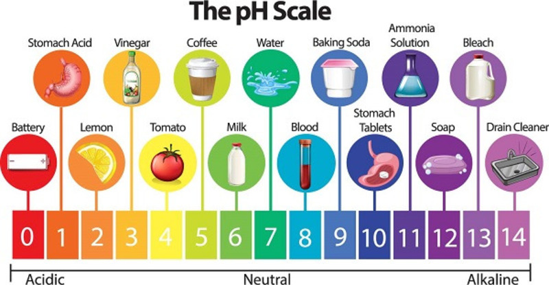 cách đo độ pH của nước